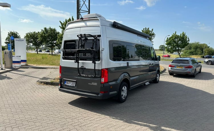 ZilverGrijs XL – VW Grand California 2.0L TDI 680 dal 2021