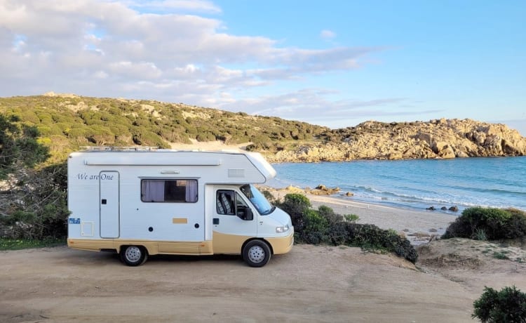 Freddy – "Camper Mansardato Fiat Ducato : Classico Vintage Familiare"