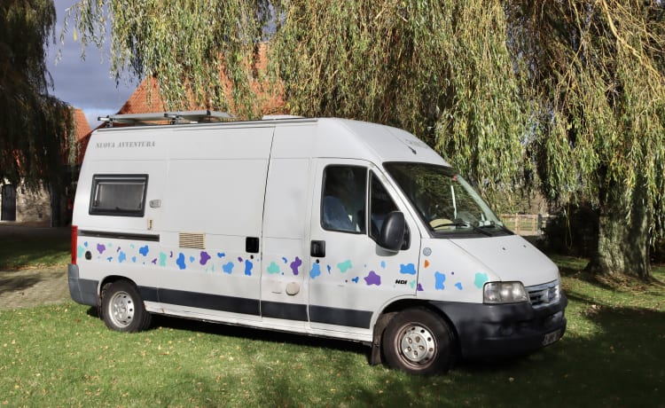 Bella de koe – 2p Fiat Ducato (ideal für Surfer und/oder Tierhalter) 