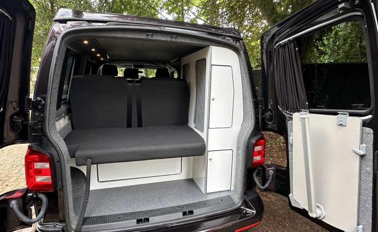 Biscey – 4-persoons Volkswagen campervan uit 2016