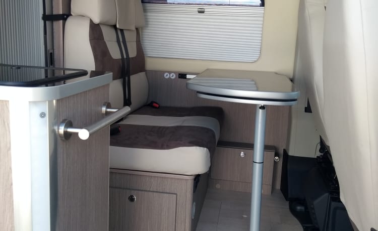 CHAUSSON Exclusive V597CS