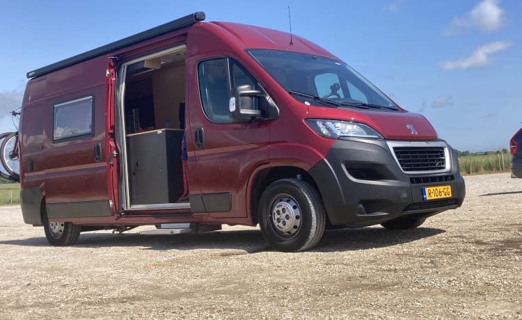 Little Red Devil  – 3p Peugeot bus uit 2020