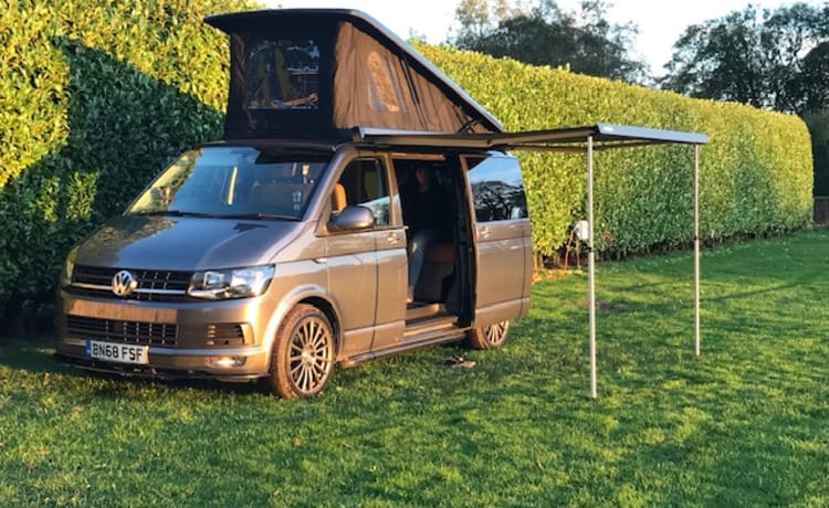 Gray – 4-persoons Volkswagen campervan uit 2018