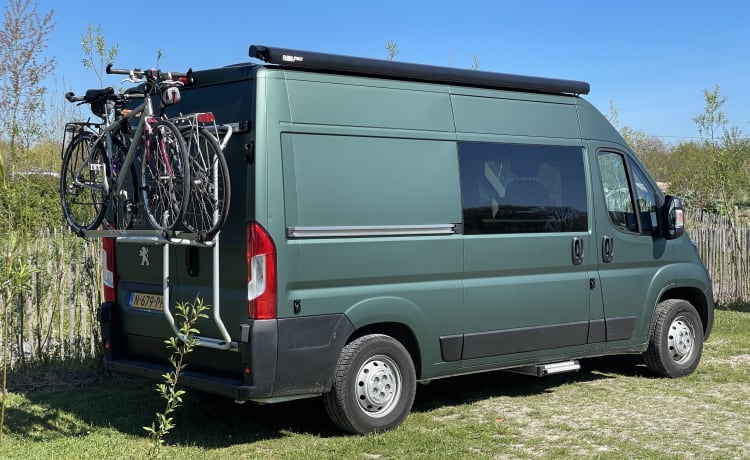 De Groene Waldi – Peugeot Boxer compact camper for rent