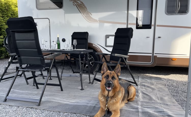 2. DelPi – Mobil-home de luxe Bürstner Delfin Harmony T726