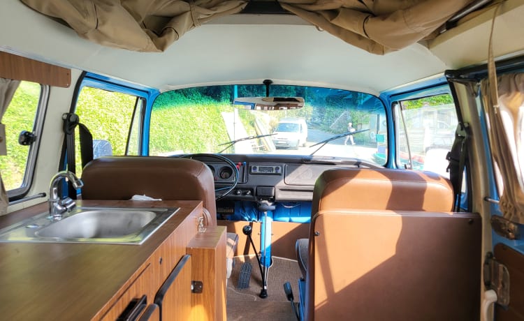 Zeppelin – Vintage Trip, combi westfalia 