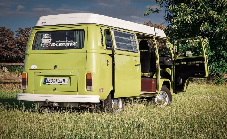 Honu Lohi – RAD-Rent a Dream - VW T2 Westfalia "Berlin" - Huur je retrodroom