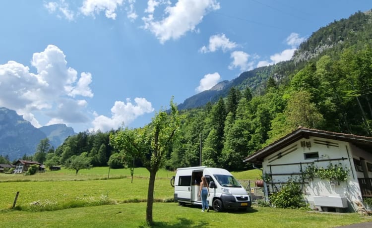 Willem – Willem - Accogliente camper per autobus!