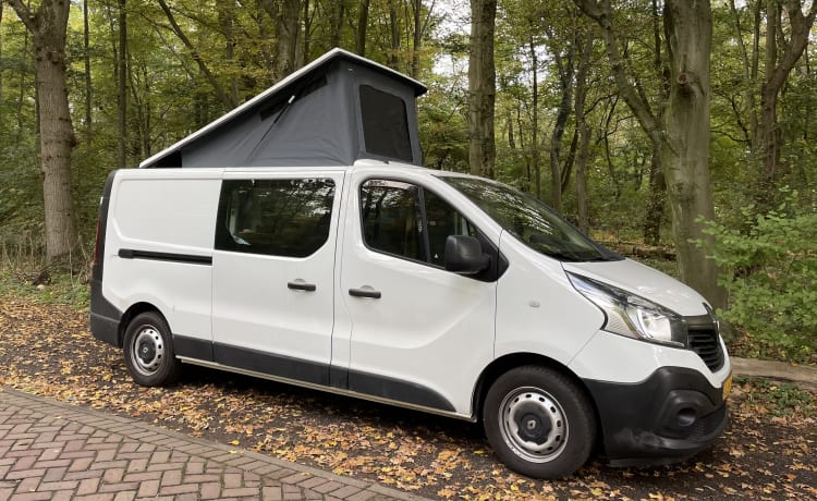 Ollie – 2p Renault bus uit 2015