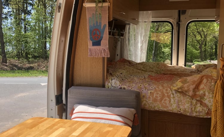 Camper 3P Fiat