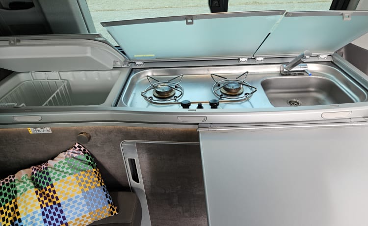 Volkswagen California Ocean 6.1 camper from 2020