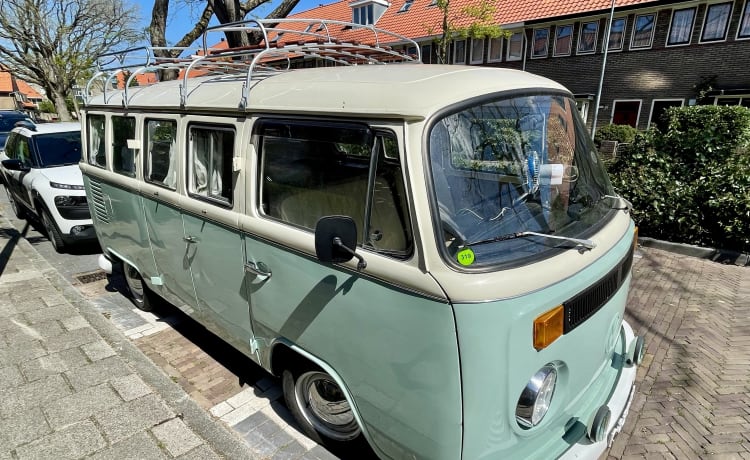 Pistache – Klassieke VW T2 Panoramabus 