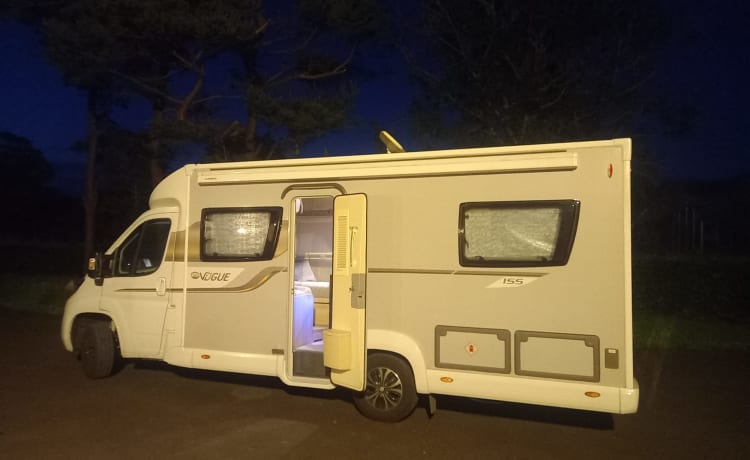 BETTY – ELDDIS VOGUE 155