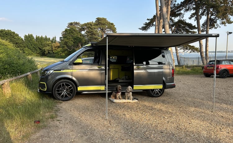 Fergus – 2021 Volkswagen Camper T6 4 Slaapplaatsen