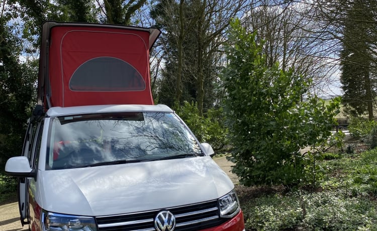 Bertie – Mit dem originalen VW Cali werden Sie alle Blicke auf sich ziehen!! 2019