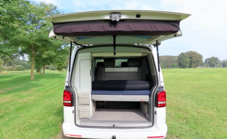 Buzz – VW California Comfort Line (T5)