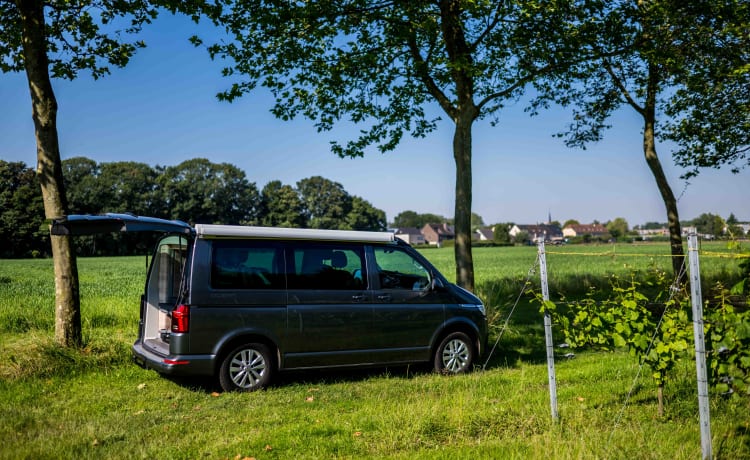 VW California 6.1 Ocean (2022) - 4 persone - cambio automatico + portabiciclette