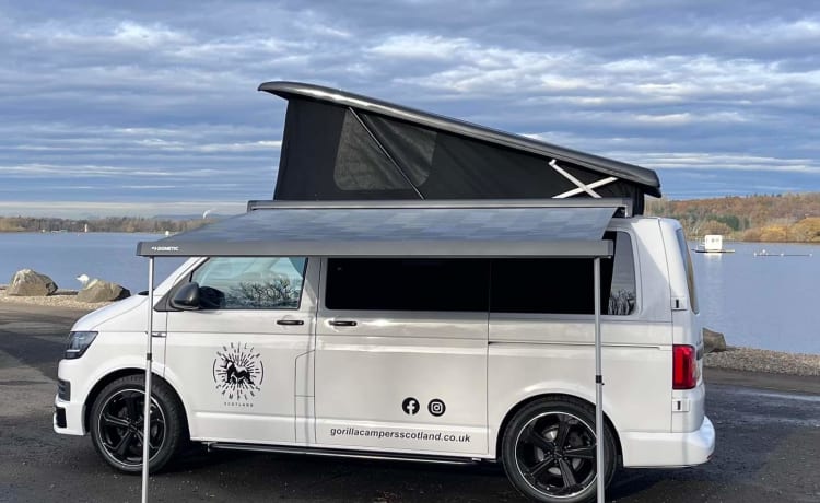 Iona – Luxe VW T6 camperombouw