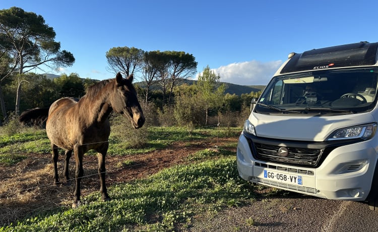 Van Elios Sky-Line Fiat Ducato 2022 van alle gemakken voorzien