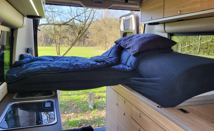 Buszz – Hymer RIo '14, 4 posti/2 camere da letto. Compatto, sorprendentemente spazioso