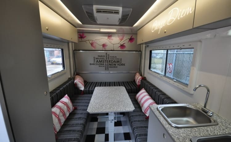 Type 8 – Stoere, unieke en trendy camper