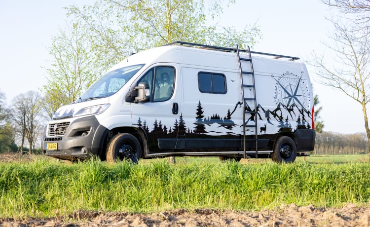 3p Fiat campervan uit 2018