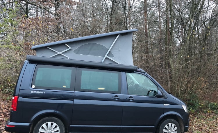 Volkswagen California bien équipée à louer