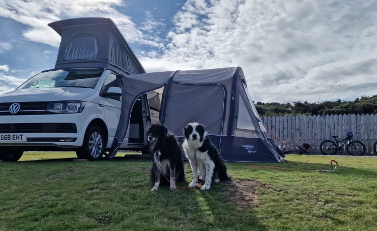 4 berth Volkswagen campervan from 2018