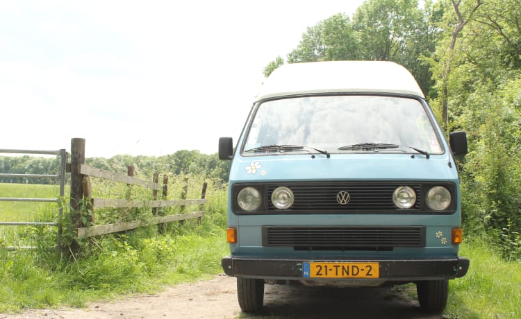 Mr. Blue – Volkswagen T3 confortable pour 2 à 4 personnes de 1986 !