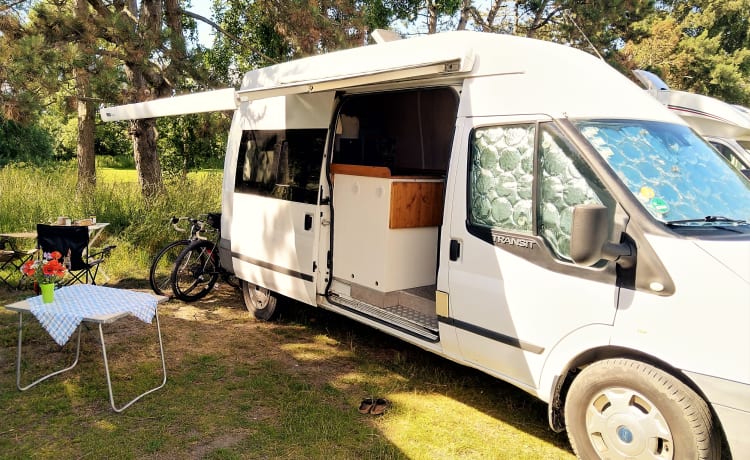 Arthur – vous emmène en douceur vers n'importe quelle aventure - Ford Transit