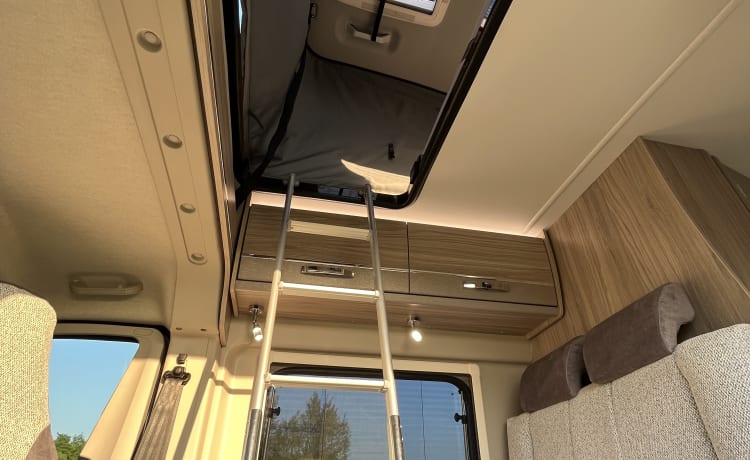 Ziggy – ZIGGY- Gloednieuwe automatische Elddis GTV80 camper voor zelfverhuur