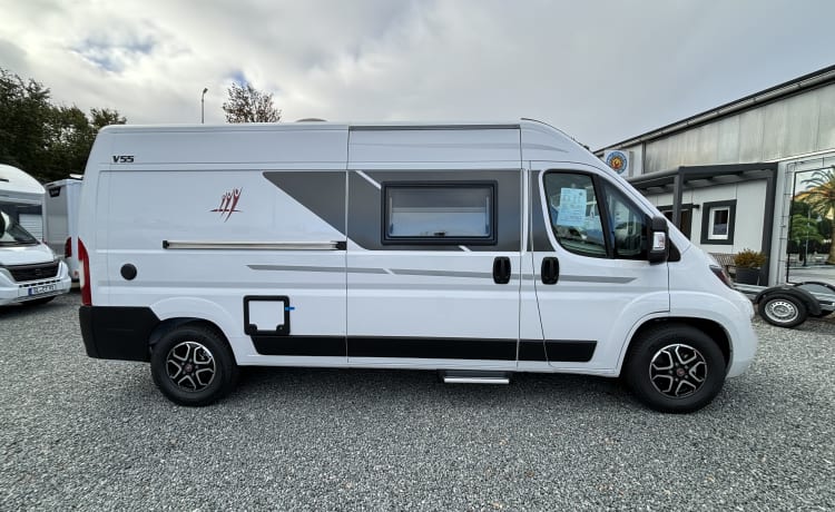 V55 – Motorhome Rapido V55 panel van