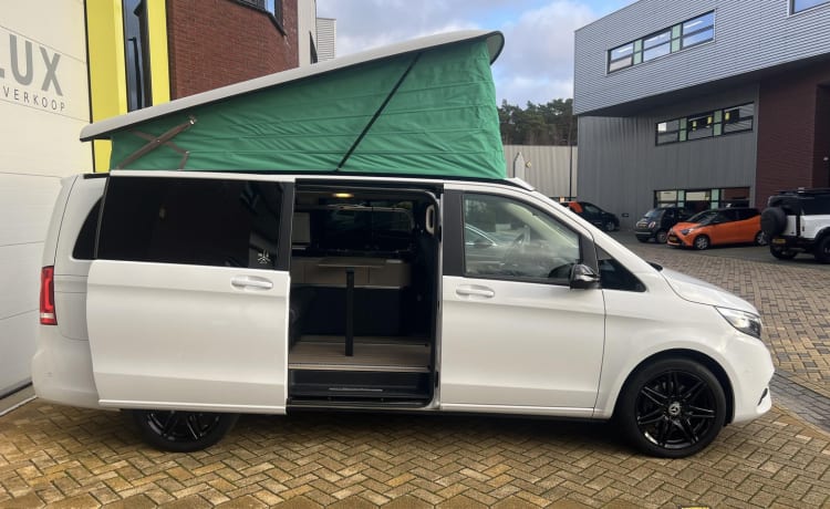 Marco Polo – 4 Persoon MARCO POLO- luxe uitgevoerde Mercedes Benz V Klasse