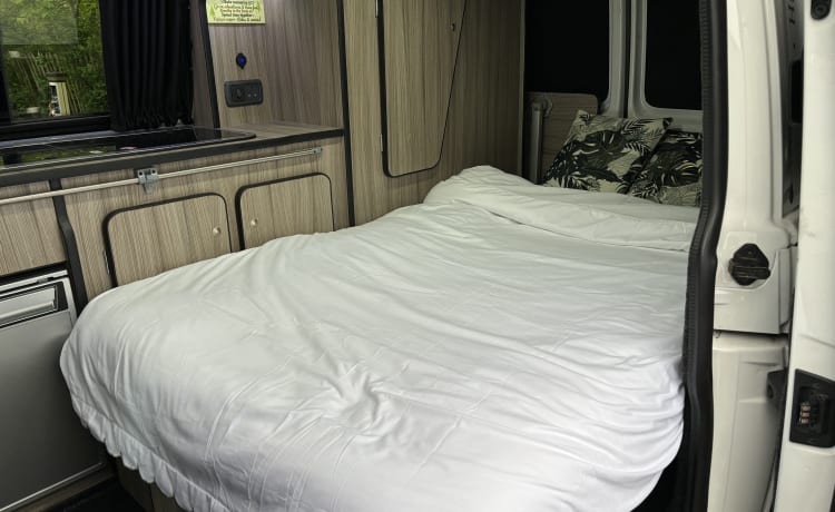 Echo – Camping-car T6 toutes saisons 2020 haute spécification, TV, toilettes, hors réseau, assurance incluse.