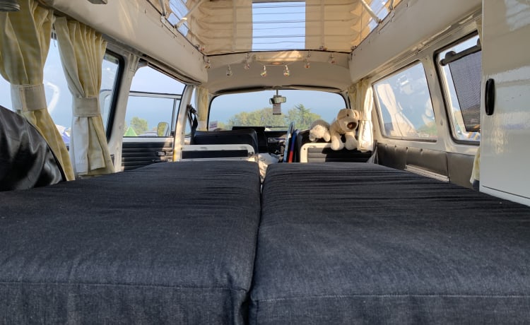 Daffy – Klassischer VW Typ 2 Campervan