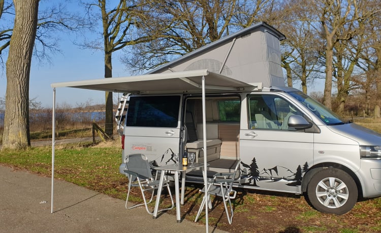 Zilver – Volkswagen T5 automatic California Bus camper with sleeping roof.