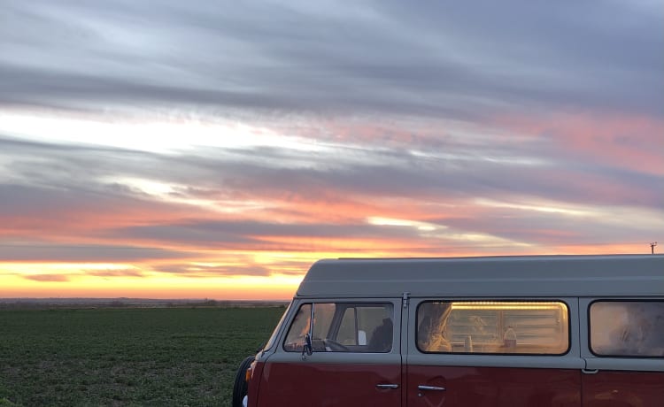 Roses – Vintage Devon 4 berth Volkswagen Camper 1981 - Relaxing Camping Classic 