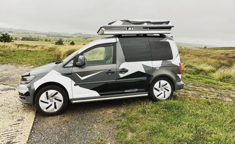 Hiker vehicle  – 4-Bett-Volkswagen-Campervan von 2016