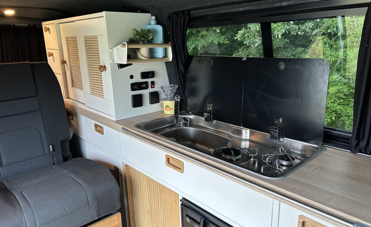 Vanny Blue – Luxurious & attractive VW camper Woodpecker - 4p