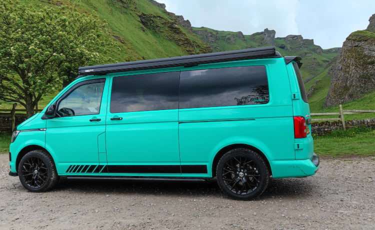 GREENIE – 4 persoons GREENIE ! VW CAMPERVAN T6 2.0 Tdi (2018).