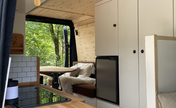 NOYR on Wheels – Beautiful black bus camper (4 people)