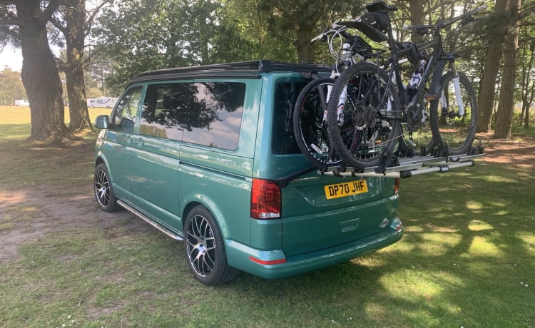 Basil – 2021 VW T6.1 Campervan huren