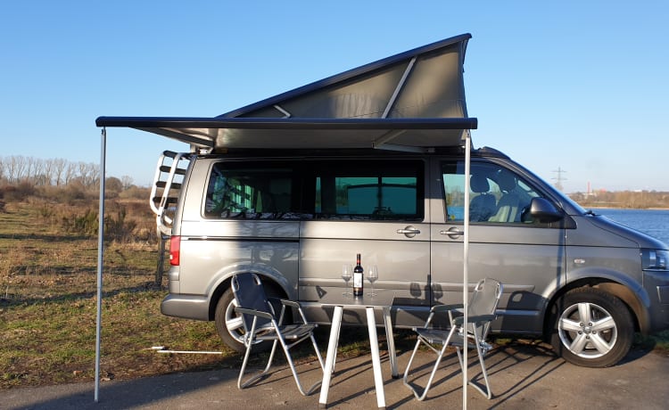 Grijs – Camping-car Volkswagen T5 California Bus avec toit relevable.