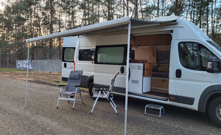 Zen Camper – ~Zen Camper~ Nice camping-car Citroën