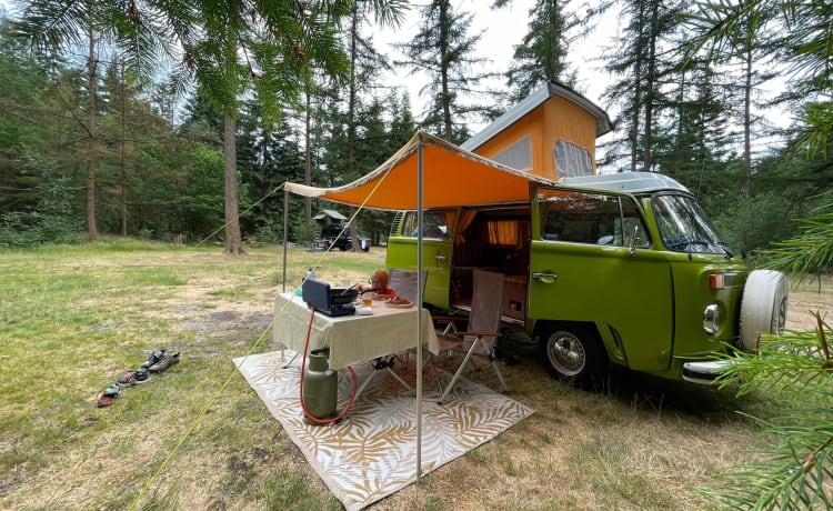 De Groene – Volkswagen T2 uit 1977, perfecte conditie