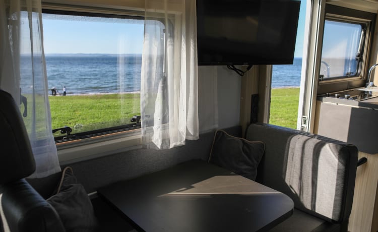 Saltire sunsets Motorhome hire  – 6 berth Fiat alcove from 2021