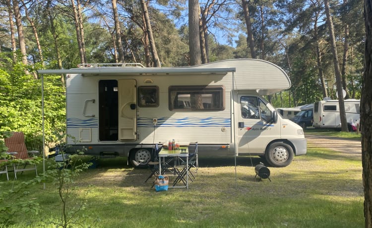 Fiat Ducato Rouleau 7