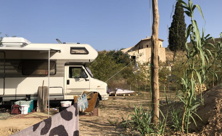 Magnifique camping-car Hymer Alkloof