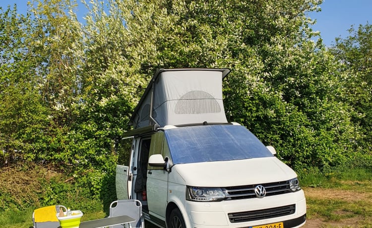 Buzz – VW California Komfortlinie (T5)