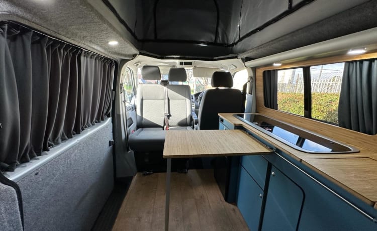 4-persoons Volkswagen campervan uit 2015